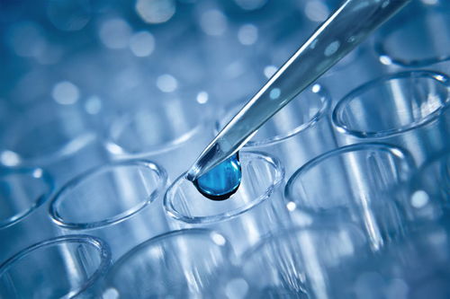 试管婴儿技术详解 一代、二代与三代的区别及其技术推广服务